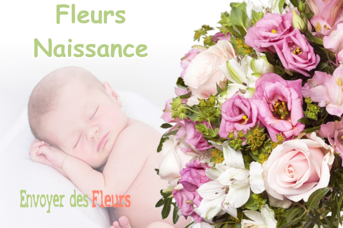 lIVRAISON FLEURS NAISSANCE à MONTJOIRE